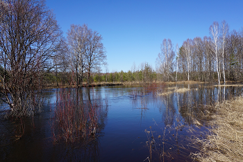 С 6 по 9 мая ожидается пик половодья на реках Пермского края 